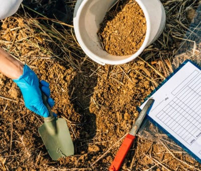 Why You Should Test Your Soil: 5 reasons to test your soils