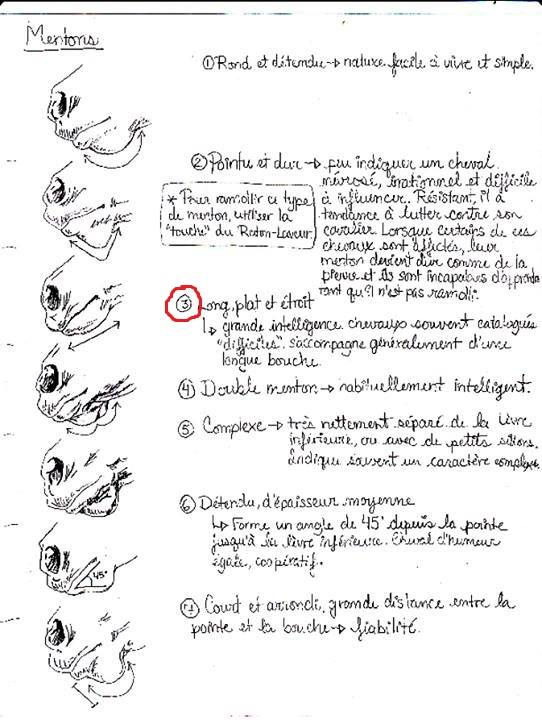 4 Comportements Cheval vie facile 4-comportements-cheval-vie-facile