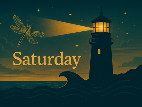 Saturday, November 29, 2025