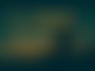 Sunday, November 30, 2025