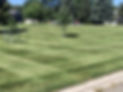Checkered Mowed Lawn