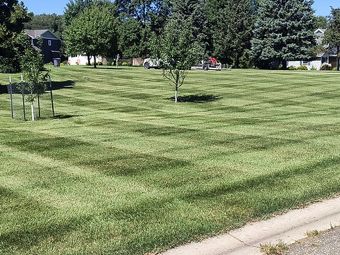 Checkered Mowed Lawn
