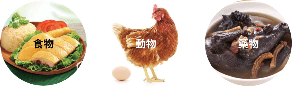 藥食同源