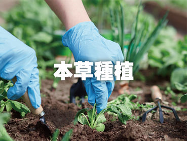 校園課堂 / 06