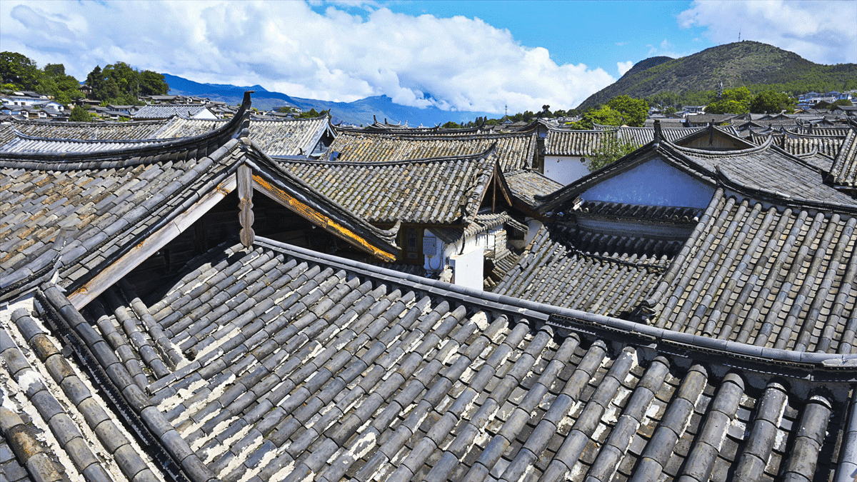 嶺南中醫藥文化．旅學．2024