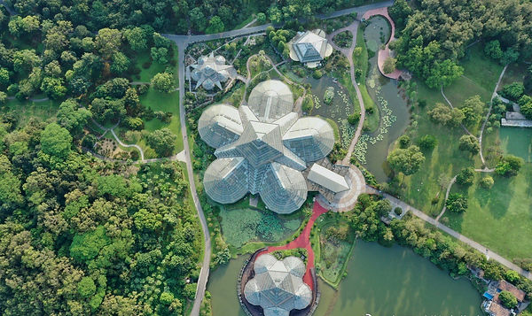 嶺南中醫藥文化.旅學.2024