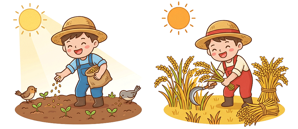 Sow-Harvest.png