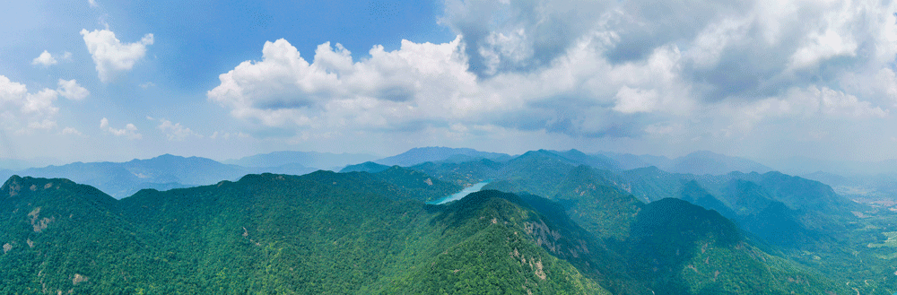 嶺南中醫藥文化．旅學．2024