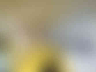 童心童創本草貼畫