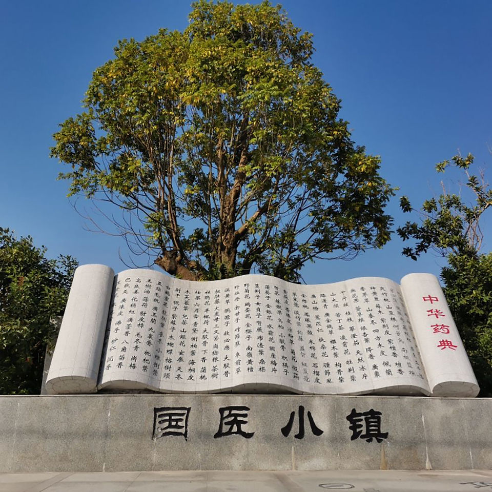 本草創意天空