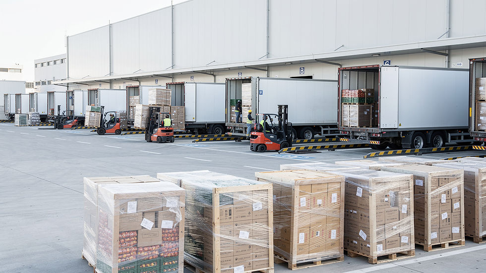 When Dry Ports Move Inland, Carriers Must Solve the 600km Empty Return Problem