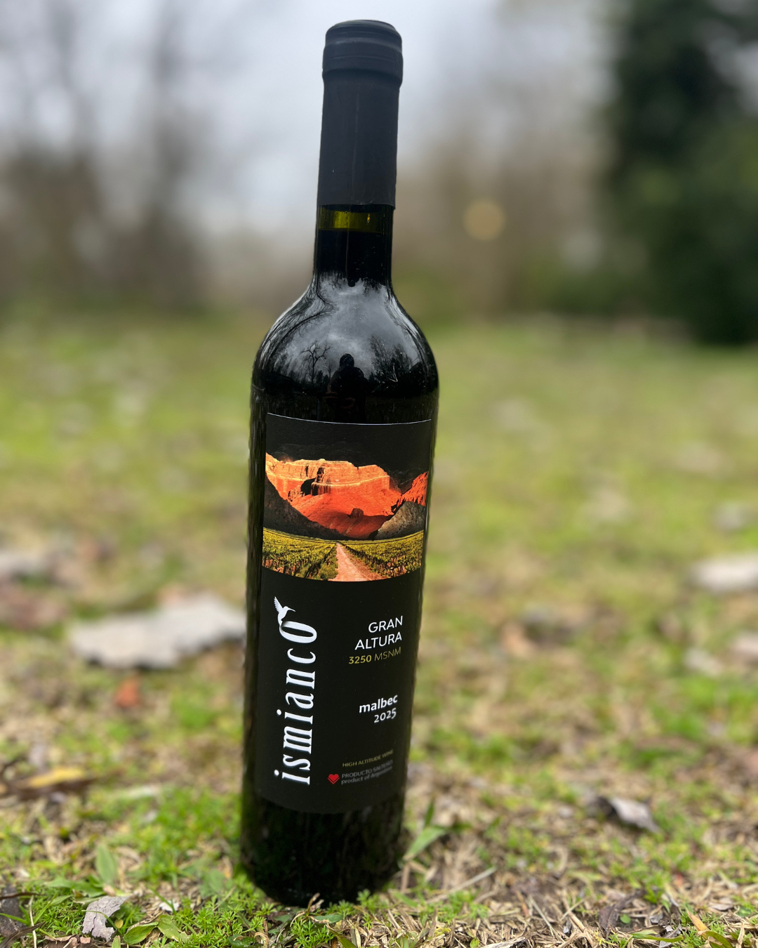 Vino Ismianco