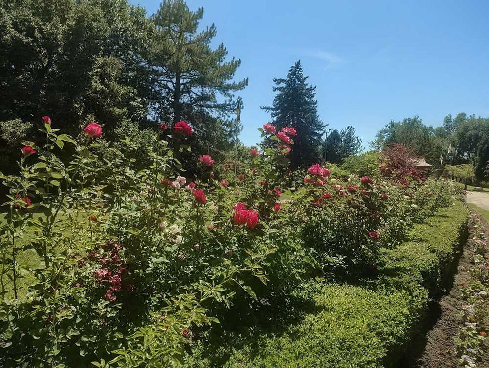 German Garden