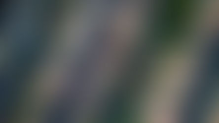 Family-sized homes plummet under Khan