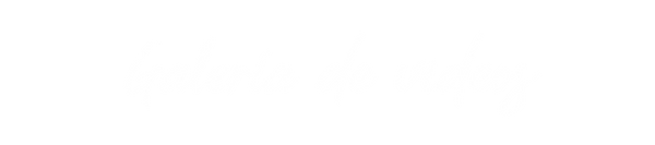 galería de videos.png