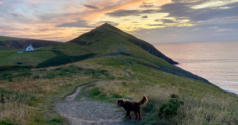 IMG_1248 3_edited.jpg