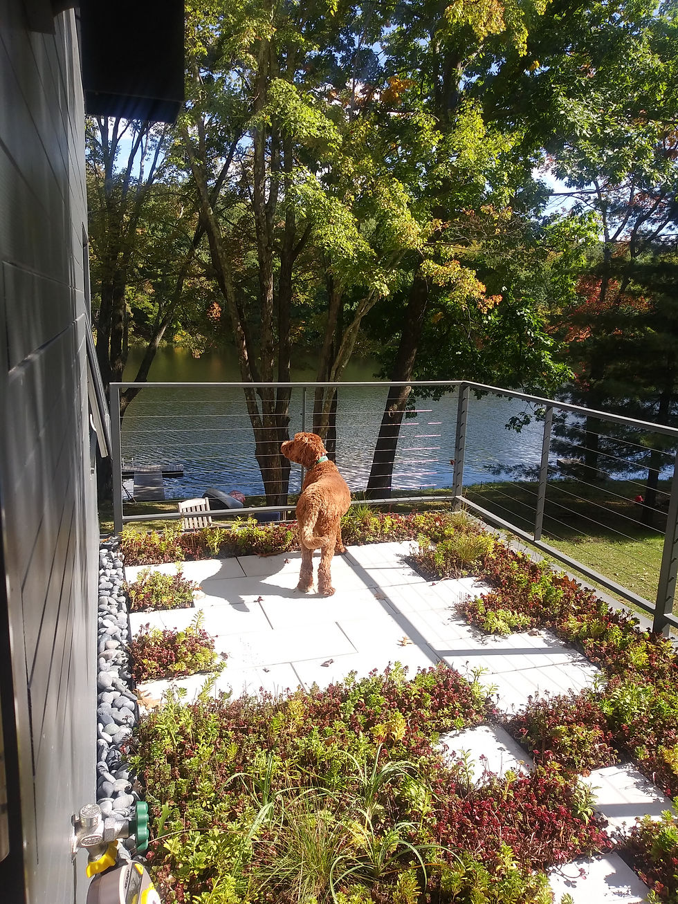 living roof terrace off bedroom