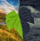 klimaschutz-1575521583isy.jpg