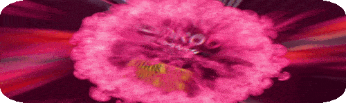 500x150 bankobet.gif