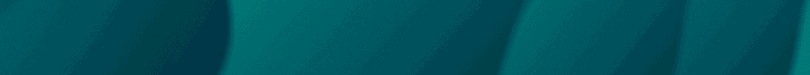 1080x100-low.gif