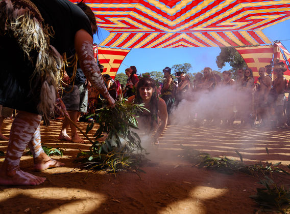 Wild Horses 2022 - NZ5_1689 - Ilias Tsiphlidis.jpg
