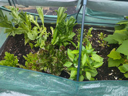 IMG_20250529_174643732_HDR