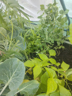 IMG_20250618_190457612