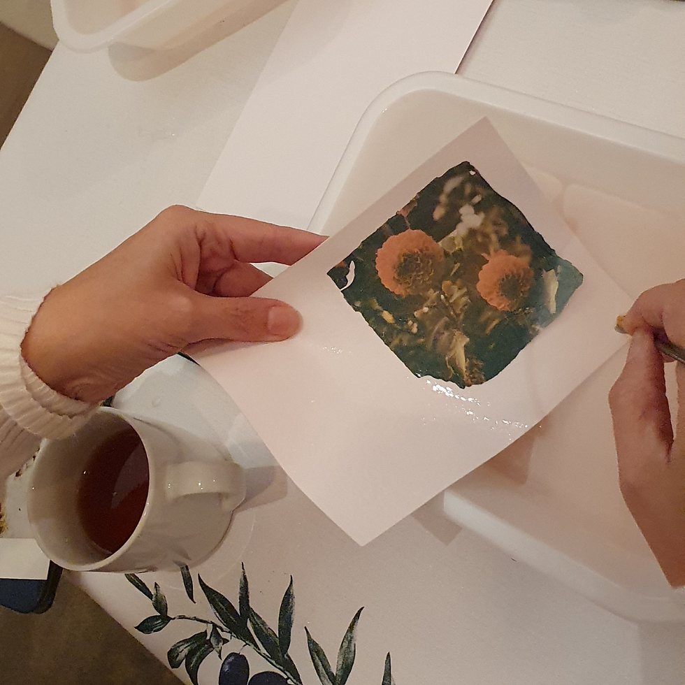 Polaroid Emulsion Lift Workshop, The Ladder