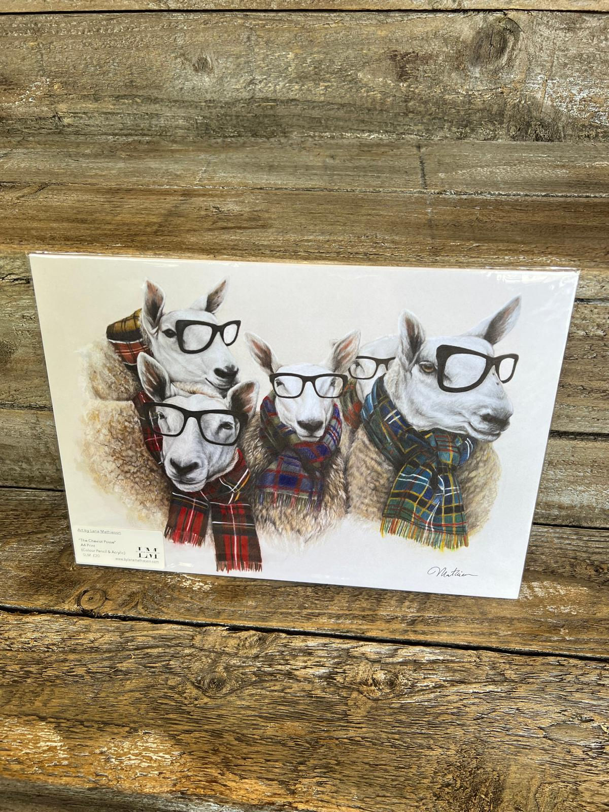 8x12" Print (ex-display stock)