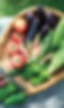地元とれたて野菜
