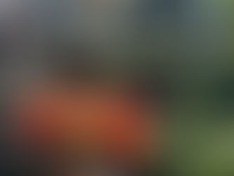 Sept/Oct 2024 The Cape Cod Anchor