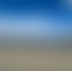 Nov/Dec 2024 The Cape Cod Anchor