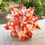 Thumbnail: Solid Tulip Kusudama (Tulip var.)