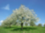 Photo: Jurapark Aargau