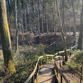 Trail Running: A Beginner's Guide