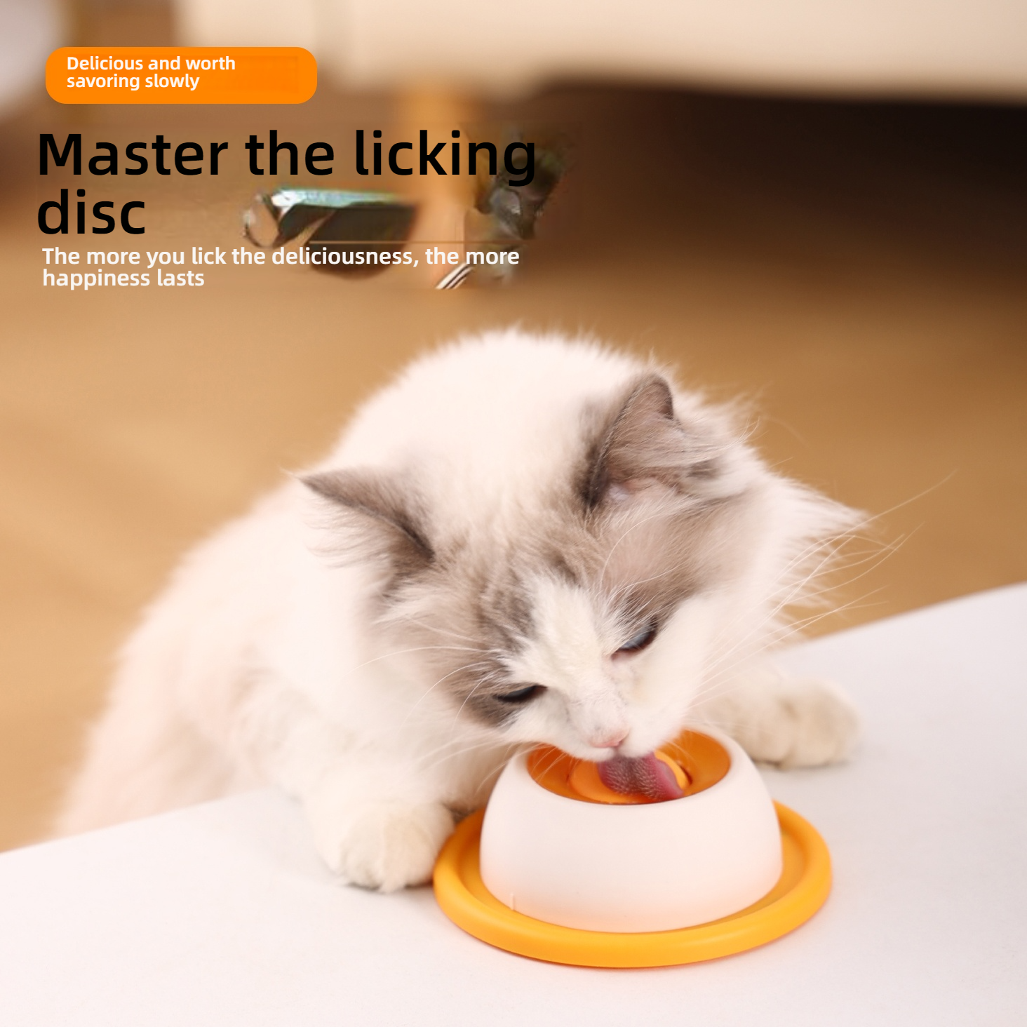 Pet Hidden Food Toy