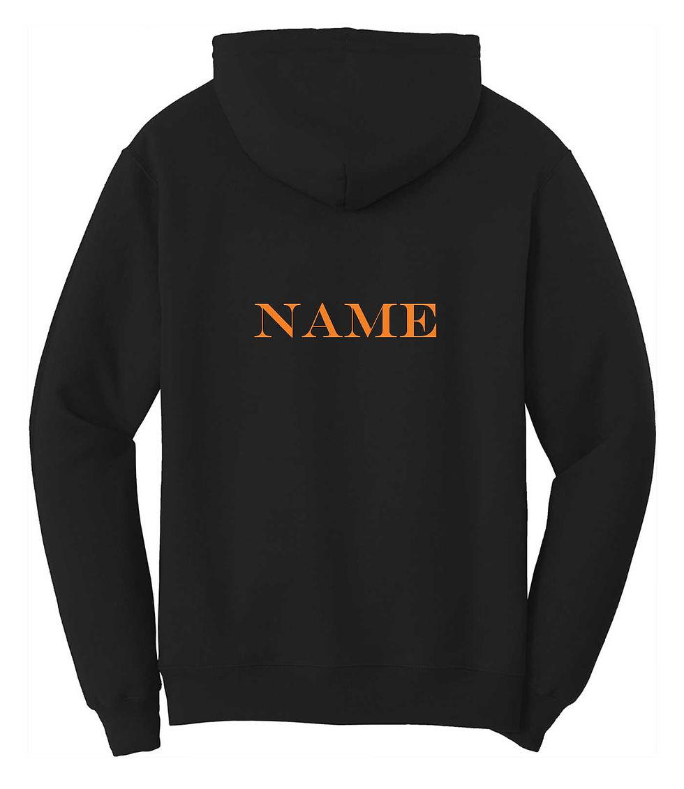 Thumbnail: NHS Figure Skating Hoodie