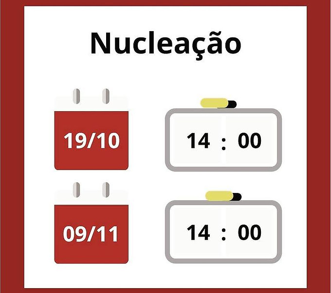 nucleação.JPG