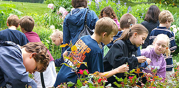 planetkitchen artstudioworld.org 12 .jpe