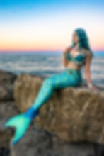 Mermaid Marina