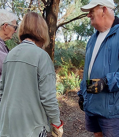 Volunteers on planting day