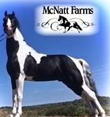 McNatt Farms logo