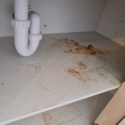 Image showing the dirt and grime inside a cupboard during an end of tenancy clean in Watford.