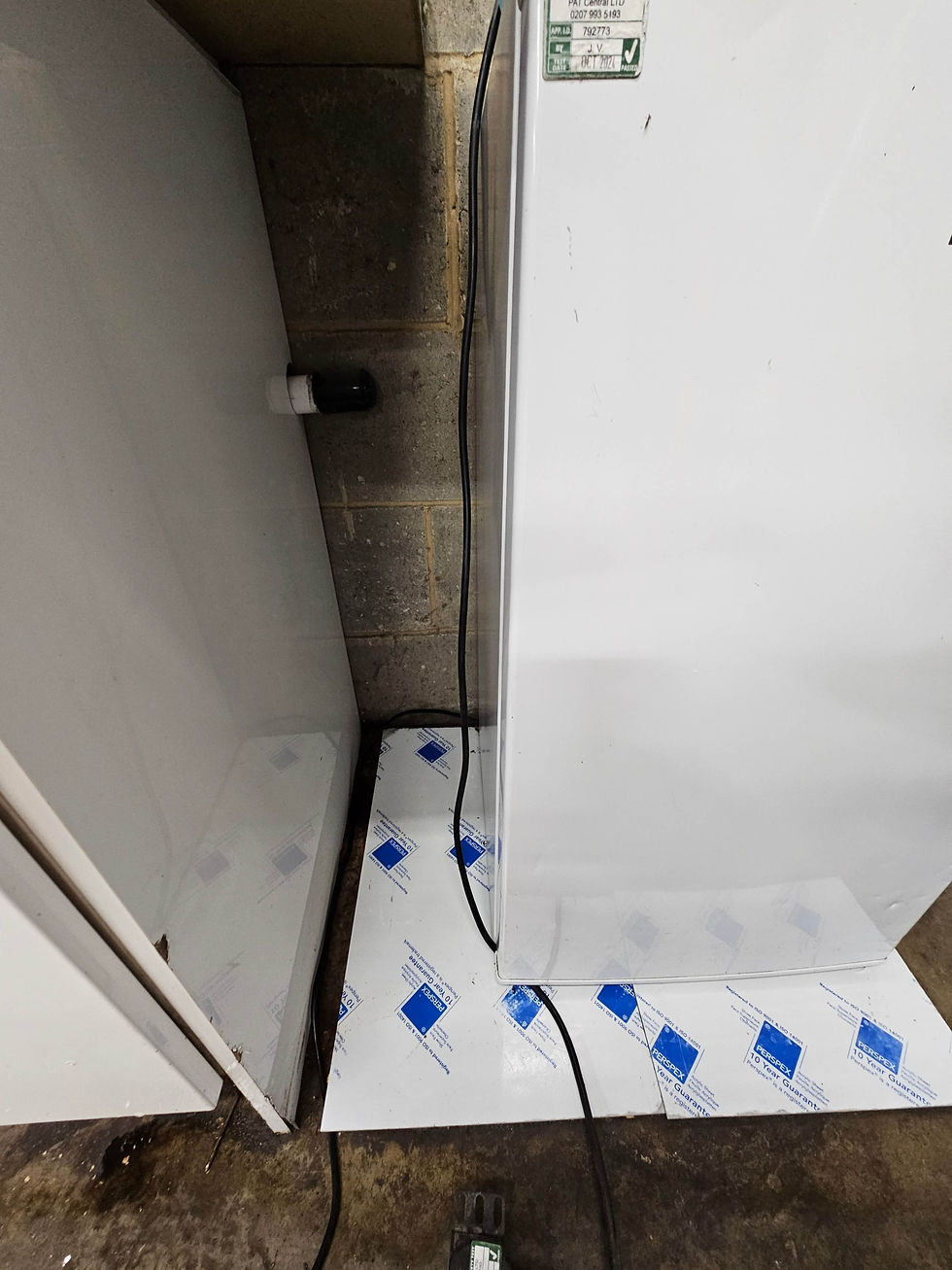 after image of kitchen cleaning from factory deep clean watford