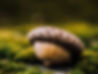 aaron-burden-PpOHJezOalU-unsplash.jpg