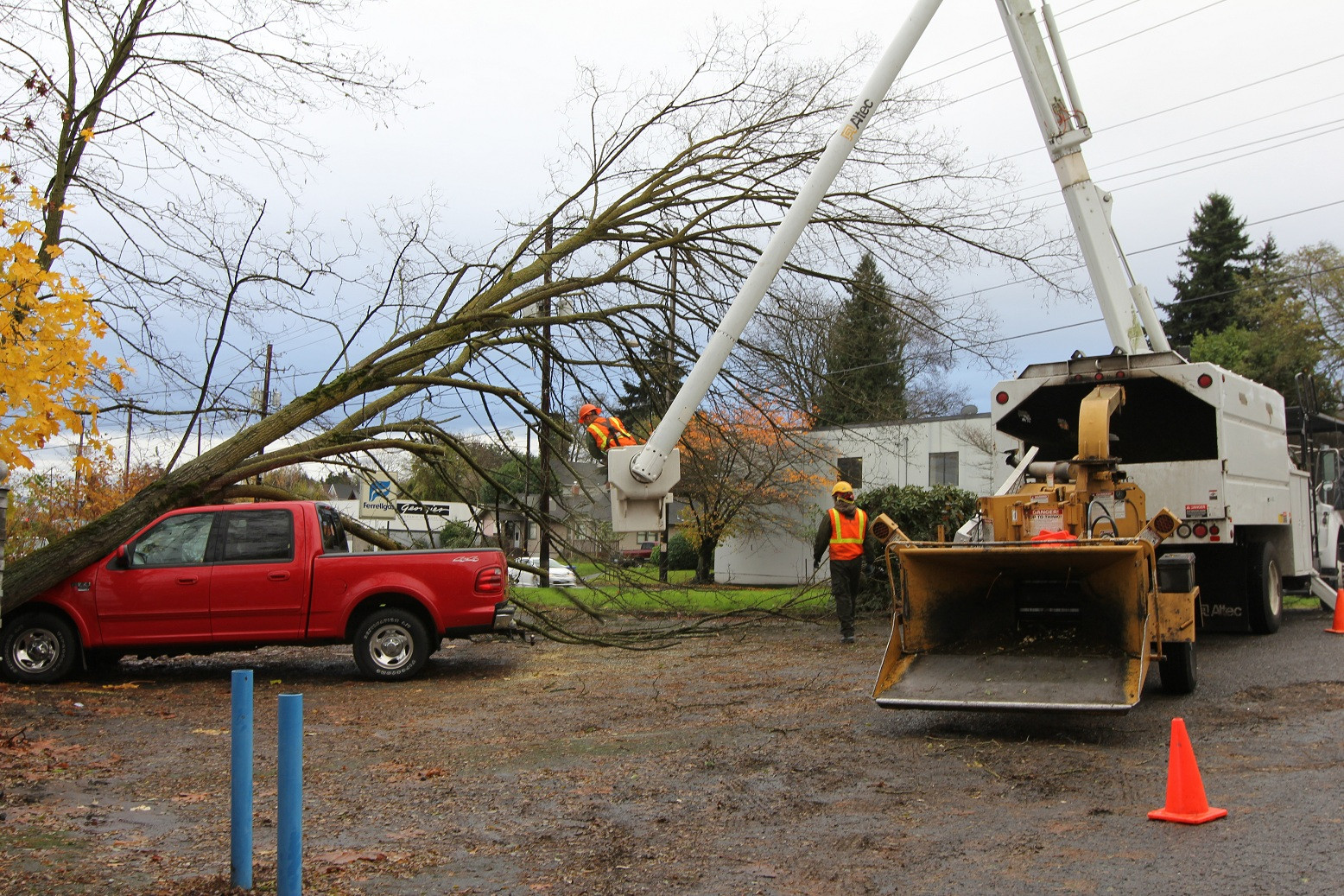 Tree Care Unlimited Hazard Support