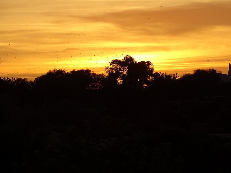 DSC01936