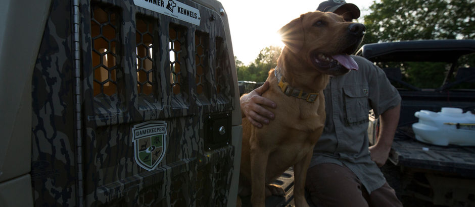 When The Hunter And The Dog Become One
