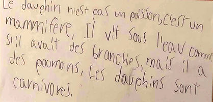 Avant écriture scripte