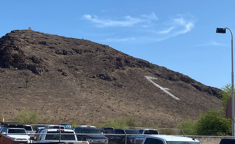  Why Arizona Schools Should Evaluate Roof Restoration Before Roof Replacement